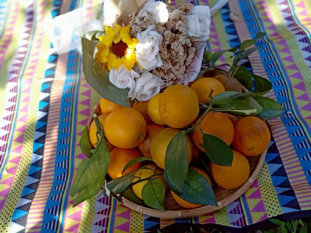 line_album_20260115柳丁大豐收_05 (14)