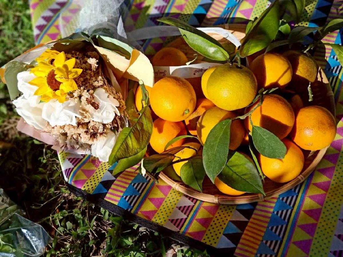 line_album_20260115柳丁大豐收_05 (15)