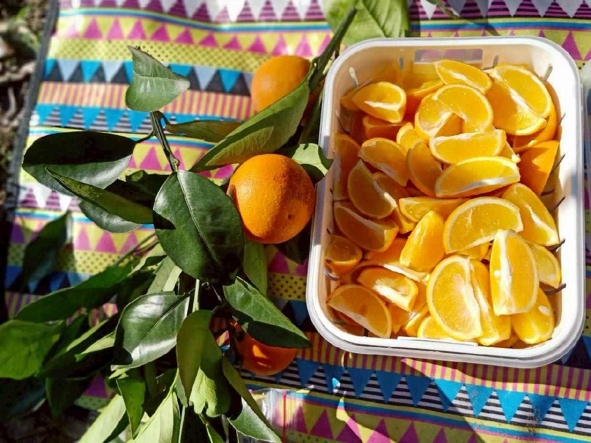 line_album_20260115柳丁大豐收_05 (16)