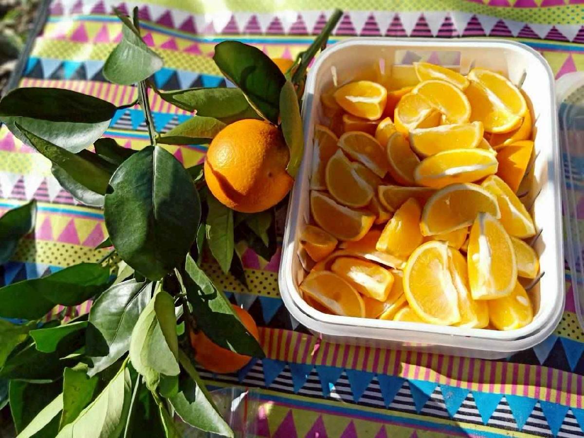 line_album_20260115柳丁大豐收_05 (17)