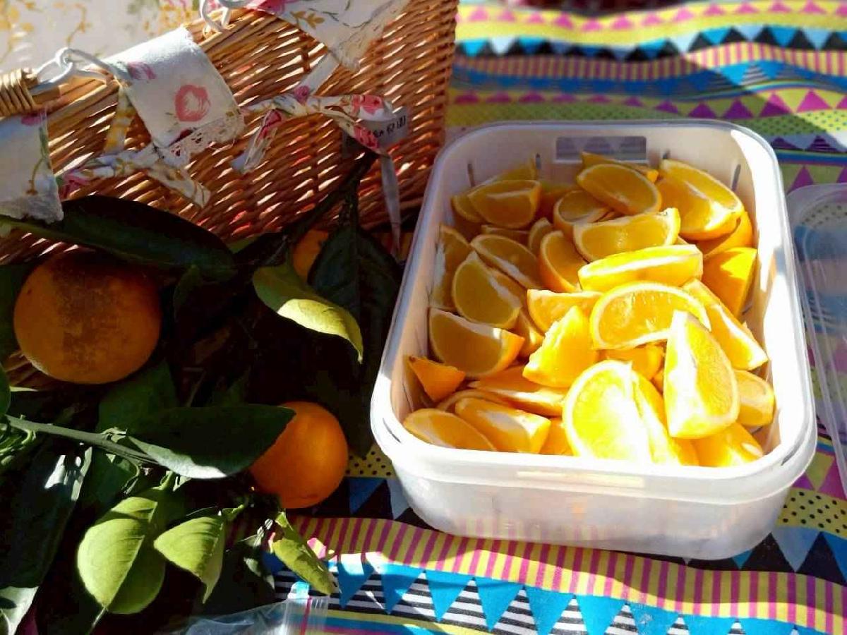 line_album_20260115柳丁大豐收_05 (18)