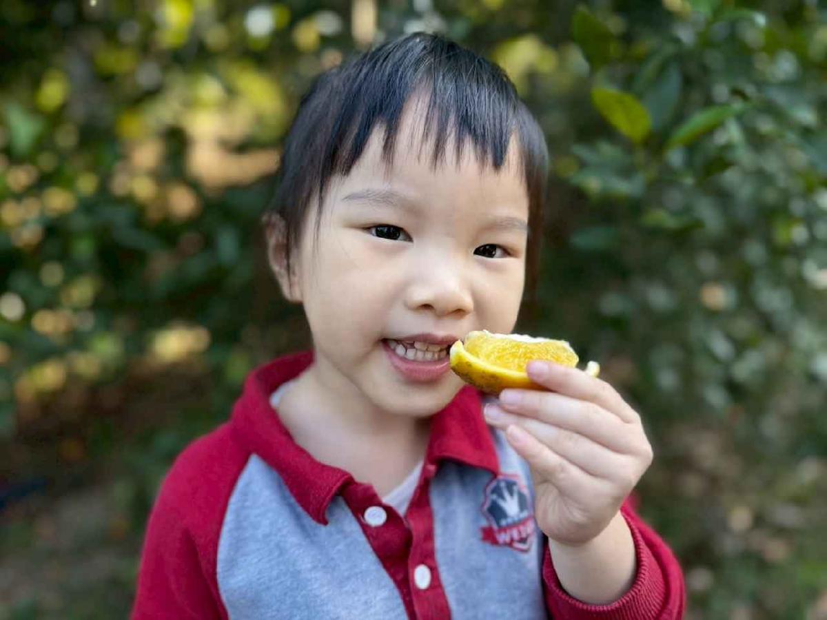 line_album_20260115柳丁大豐收_05 (21)