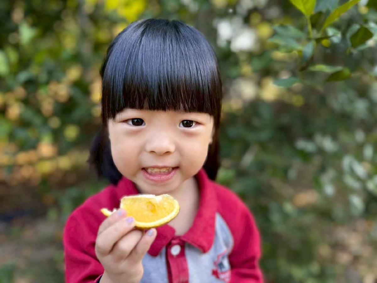 line_album_20260115柳丁大豐收_05 (22)