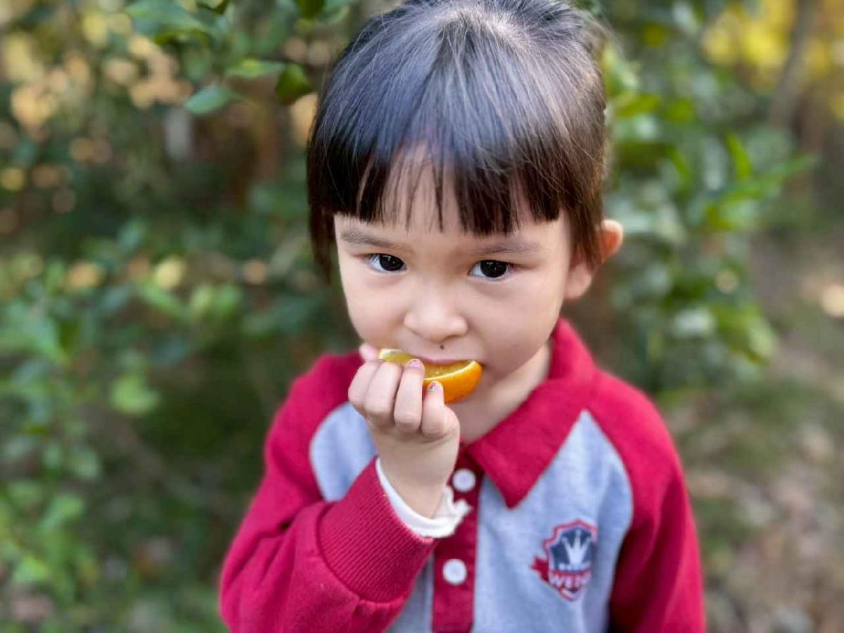 line_album_20260115柳丁大豐收_05 (26)