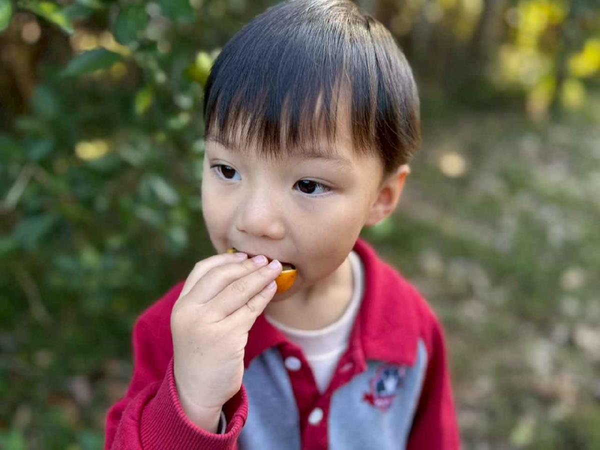 line_album_20260115柳丁大豐收_05 (27)