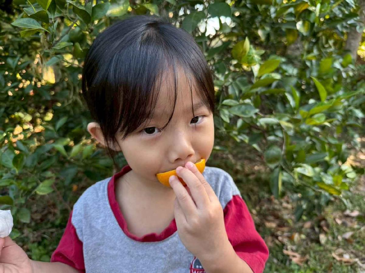 line_album_20260115柳丁大豐收_05 (36)