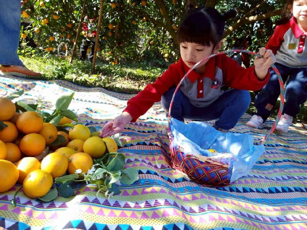 line_album_20260115柳丁大豐收03 (7)