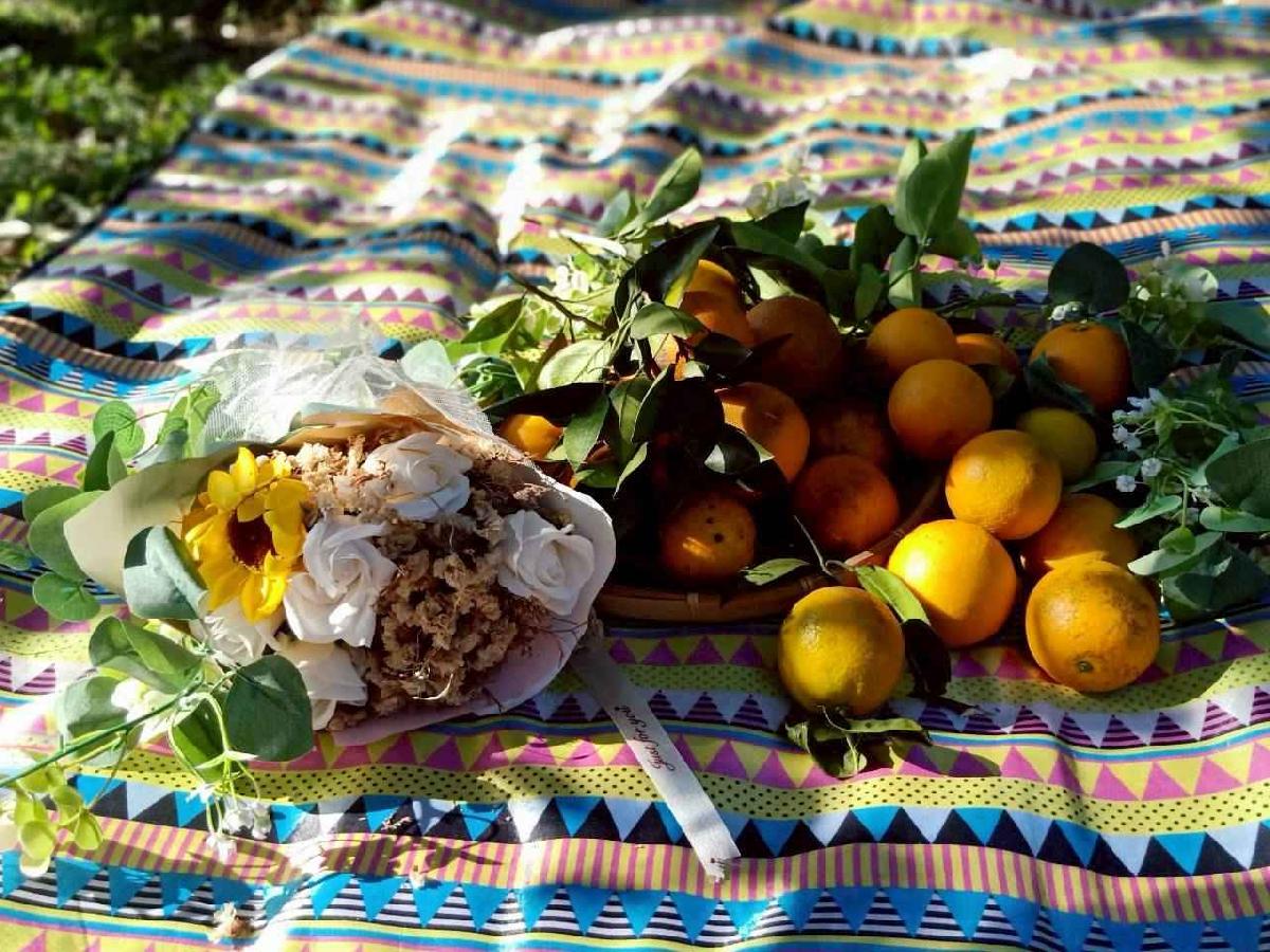 line_album_20260115柳丁大豐收03 (8)