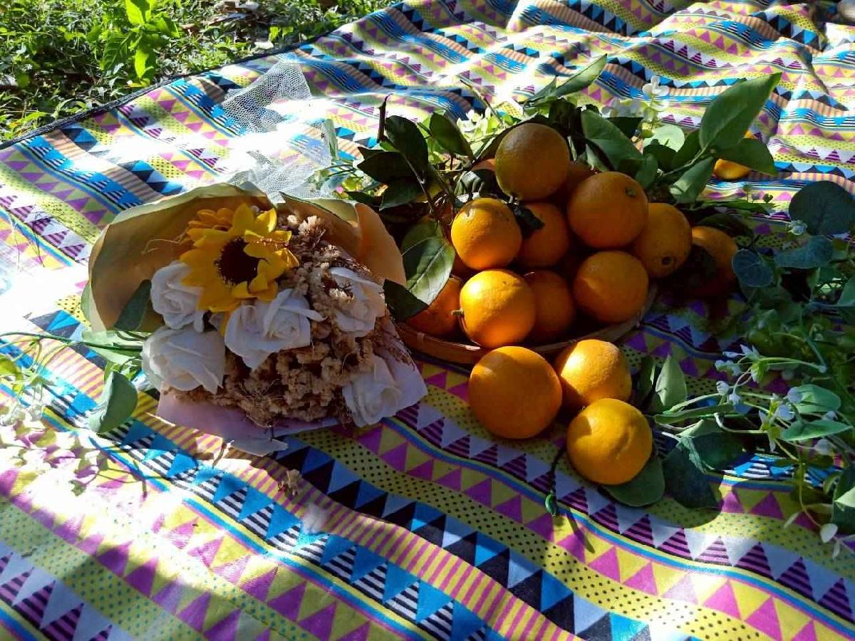 line_album_20260115柳丁大豐收03 (9)