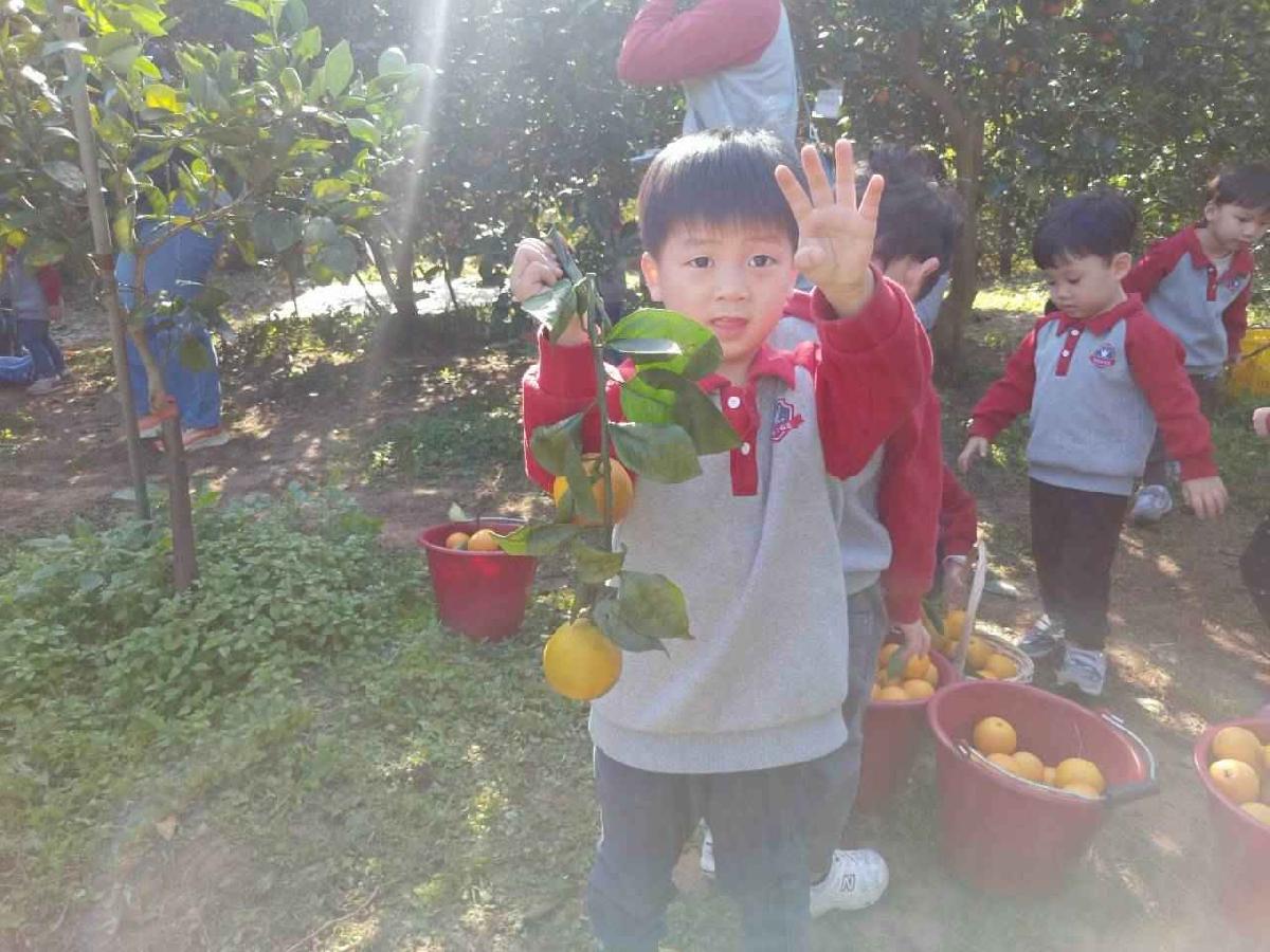 line_album_20260115柳丁大豐收03 (10)