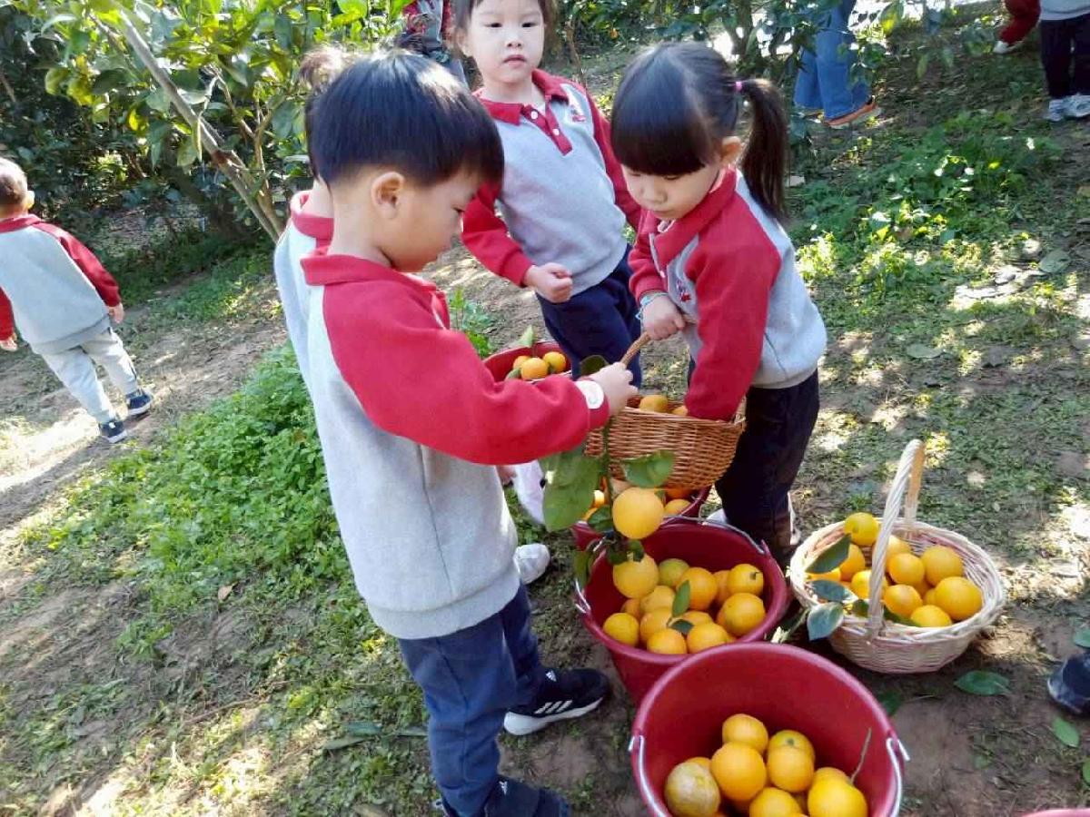 line_album_20260115柳丁大豐收03 (11)