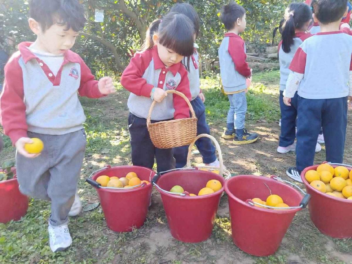 line_album_20260115柳丁大豐收03 (12)