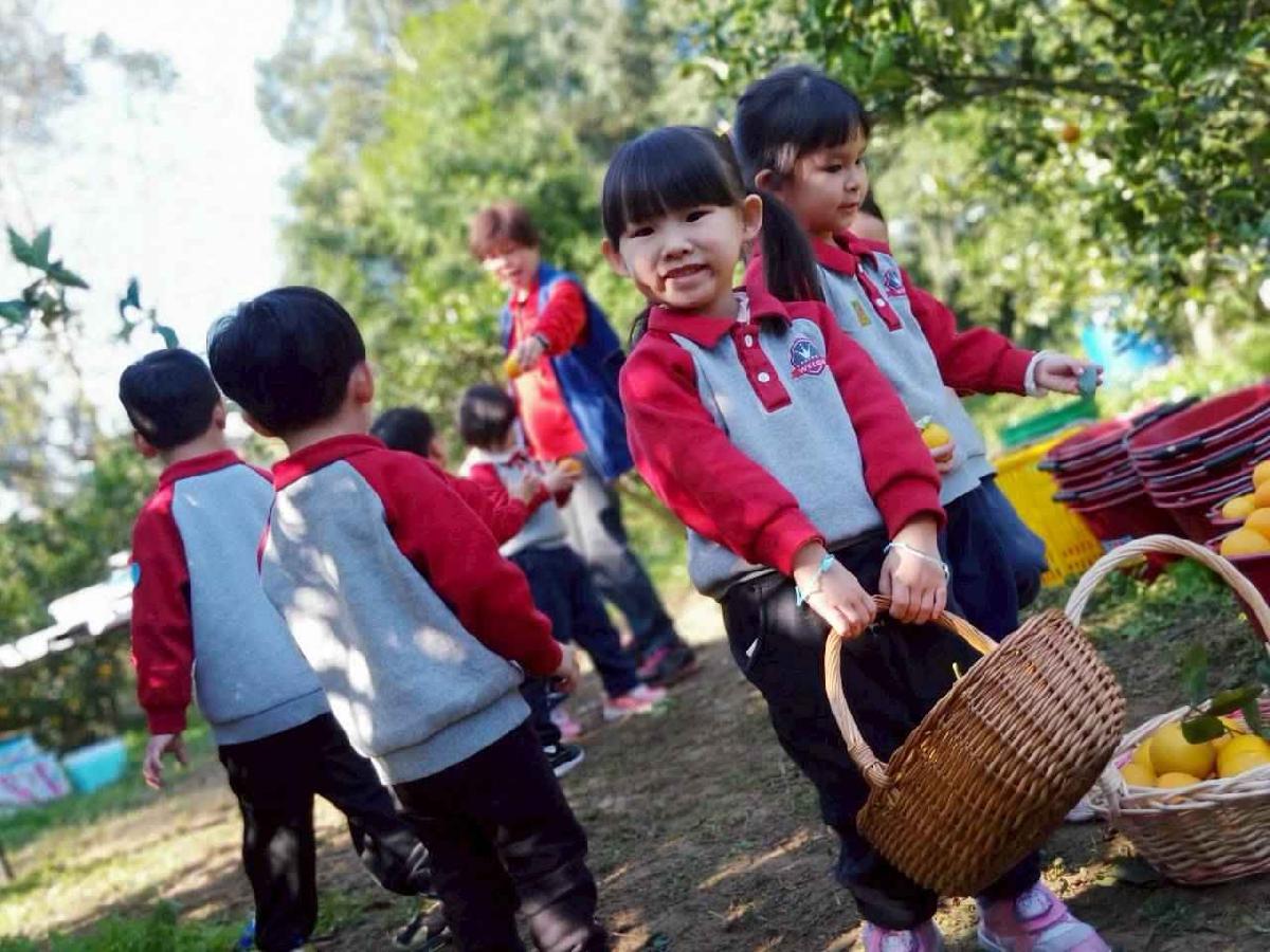 line_album_20260115柳丁大豐收03 (13)