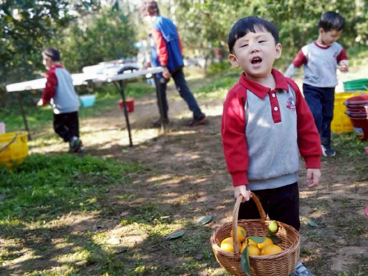 line_album_20260115柳丁大豐收03 (14)