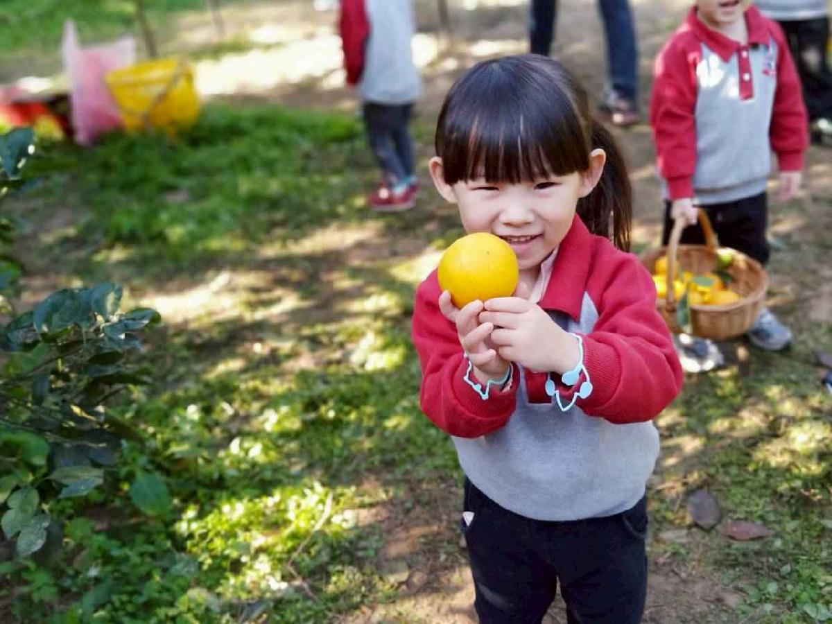 line_album_20260115柳丁大豐收03 (15)