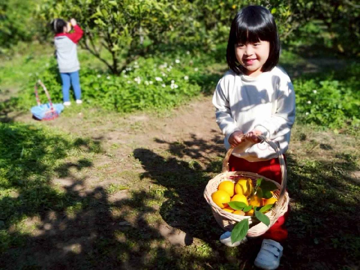 line_album_20260115柳丁大豐收03 (16)