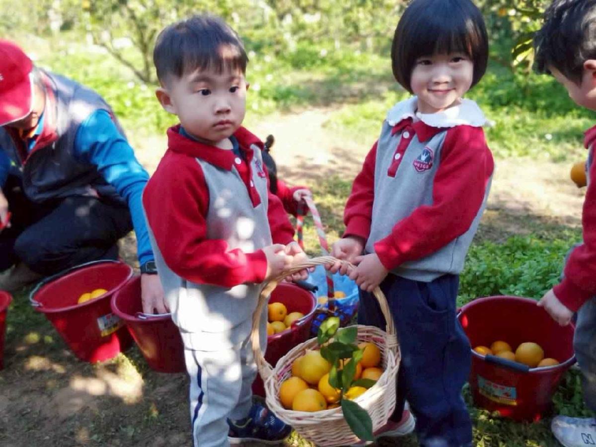 line_album_20260115柳丁大豐收03 (17)