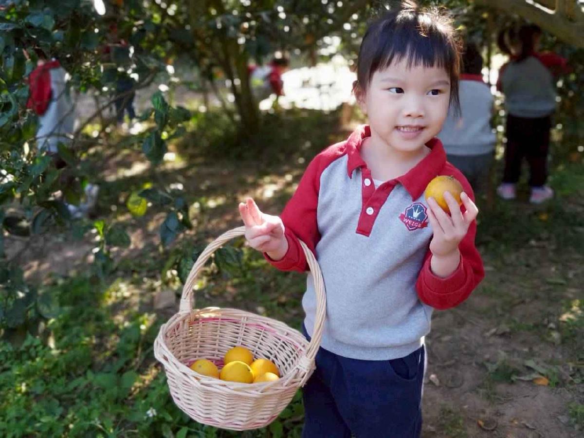 line_album_20260115柳丁大豐收03 (19)