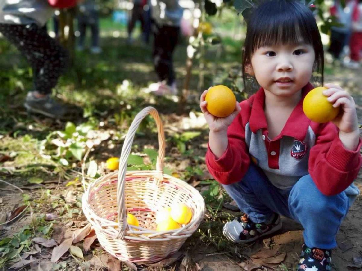 line_album_20260115柳丁大豐收03 (20)