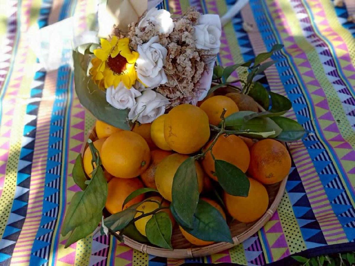 line_album_20260115柳丁大豐收03 (23)