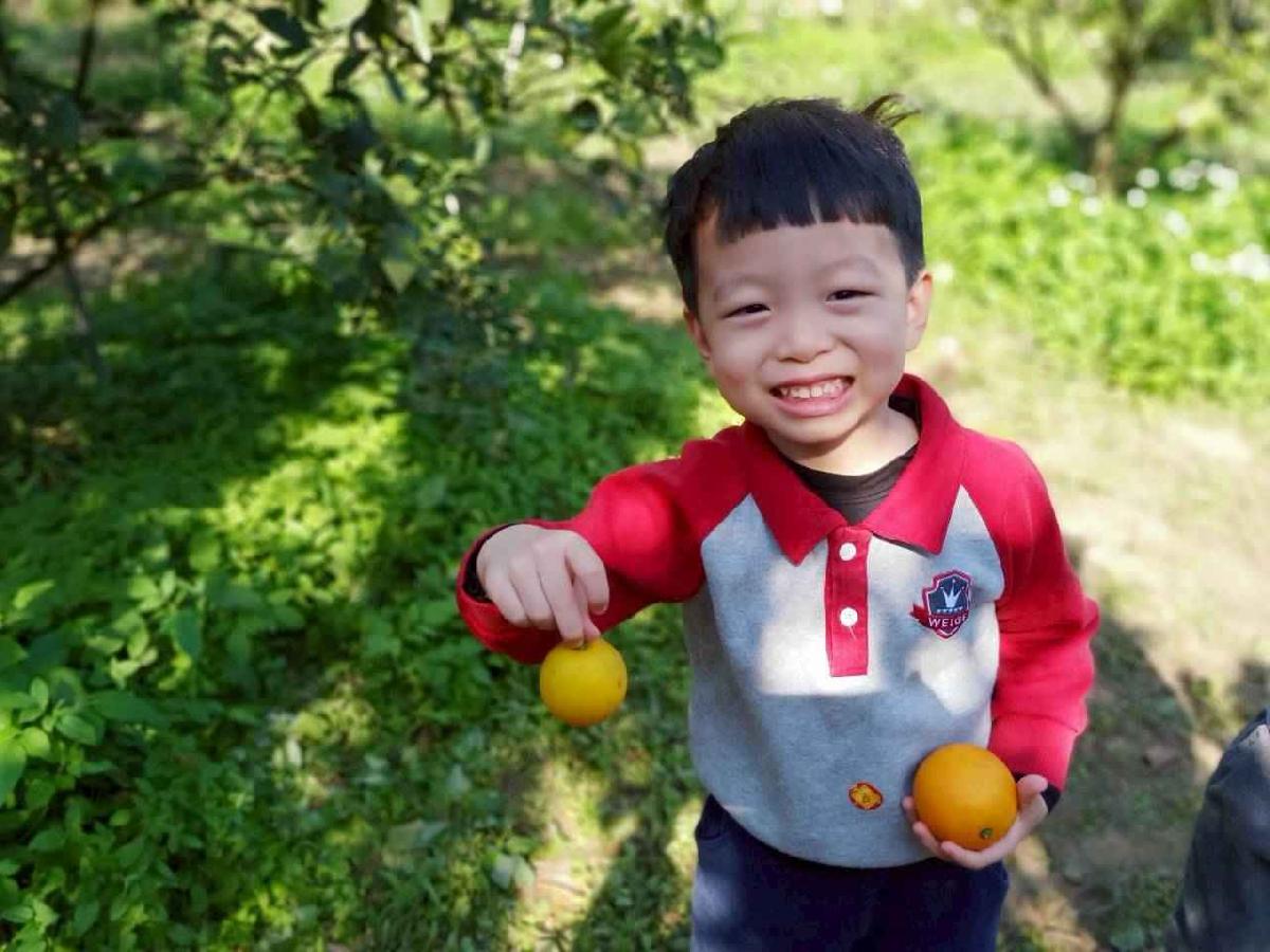 line_album_20260115柳丁大豐收_02 (2)