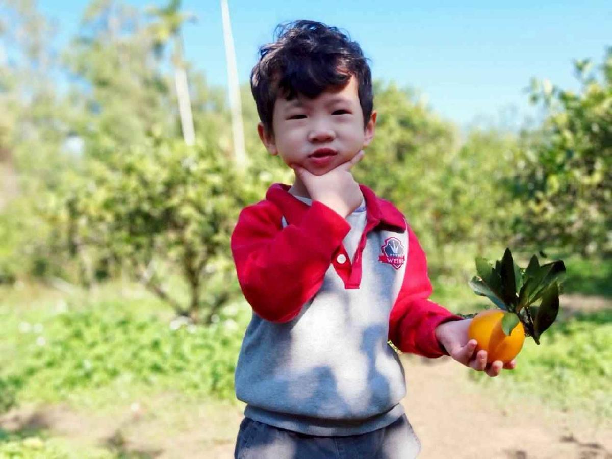 line_album_20260115柳丁大豐收_02 (1)