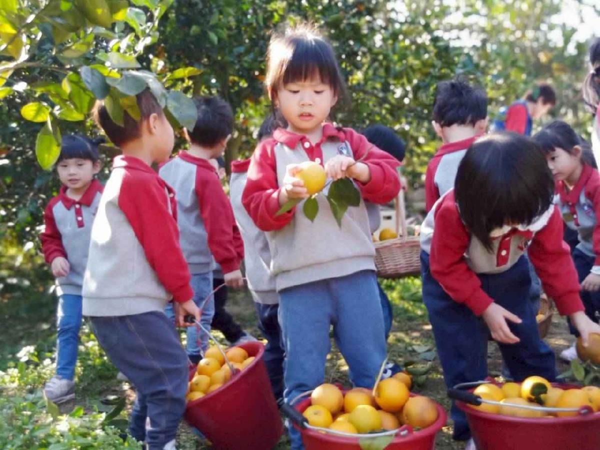 line_album_20260115柳丁大豐收_02 (3)