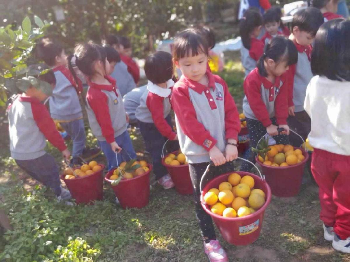 line_album_20260115柳丁大豐收_02 (4)