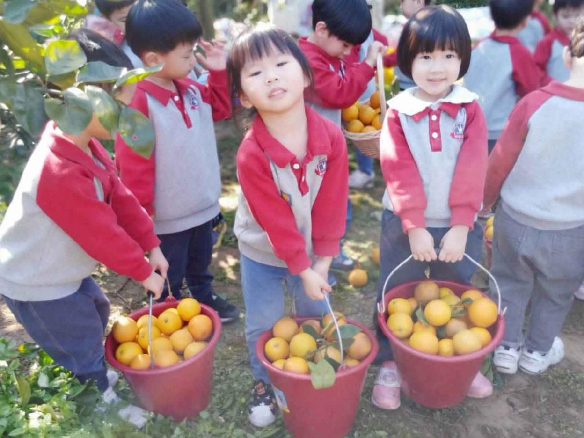 line_album_20260115柳丁大豐收_02 (5)