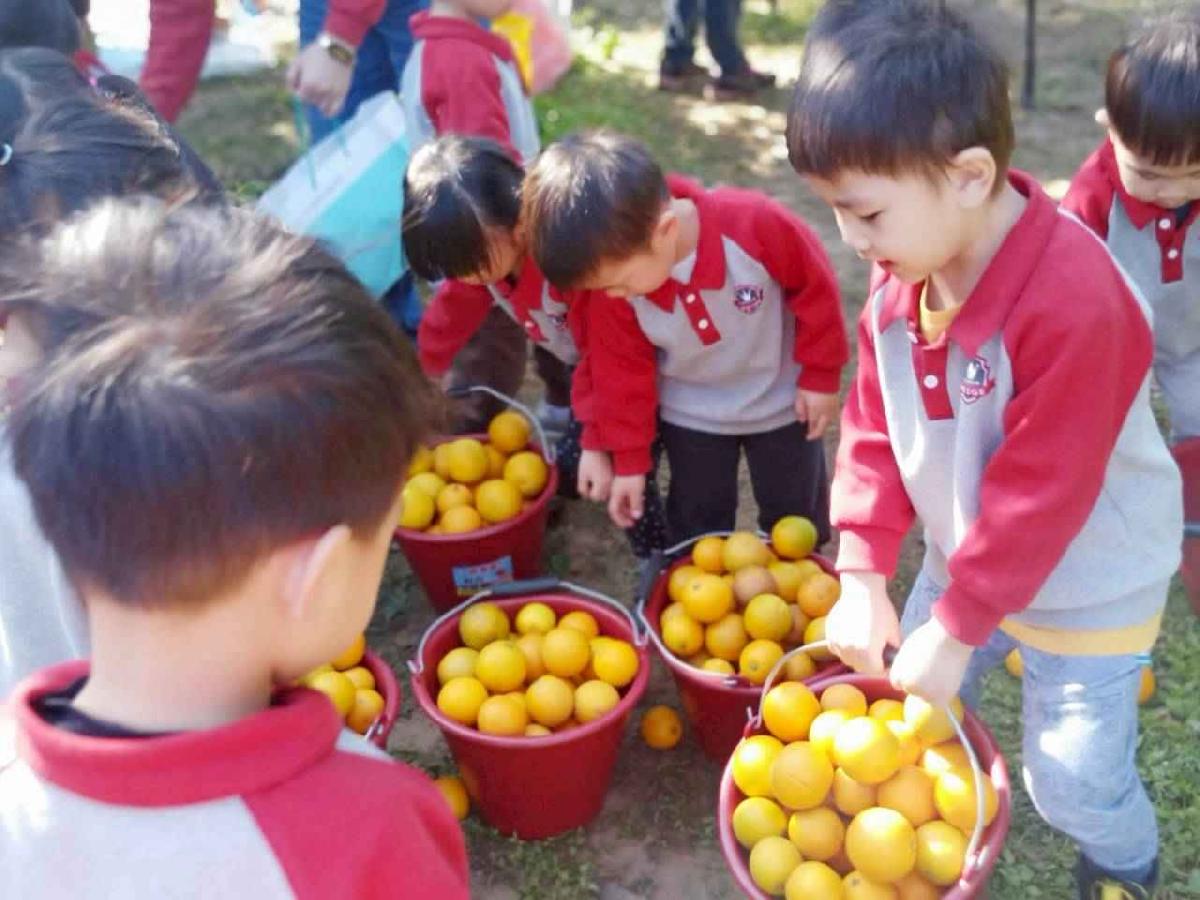 line_album_20260115柳丁大豐收_02 (6)