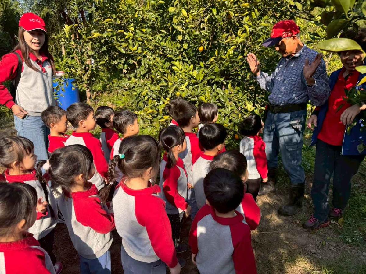 line_album_20260115柳丁大豐收01 (1)