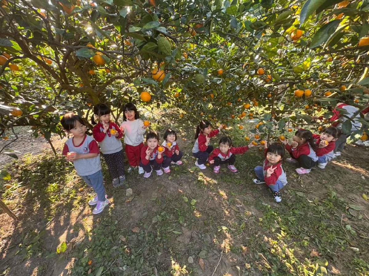 line_album_20260115柳丁大豐收01 (3)