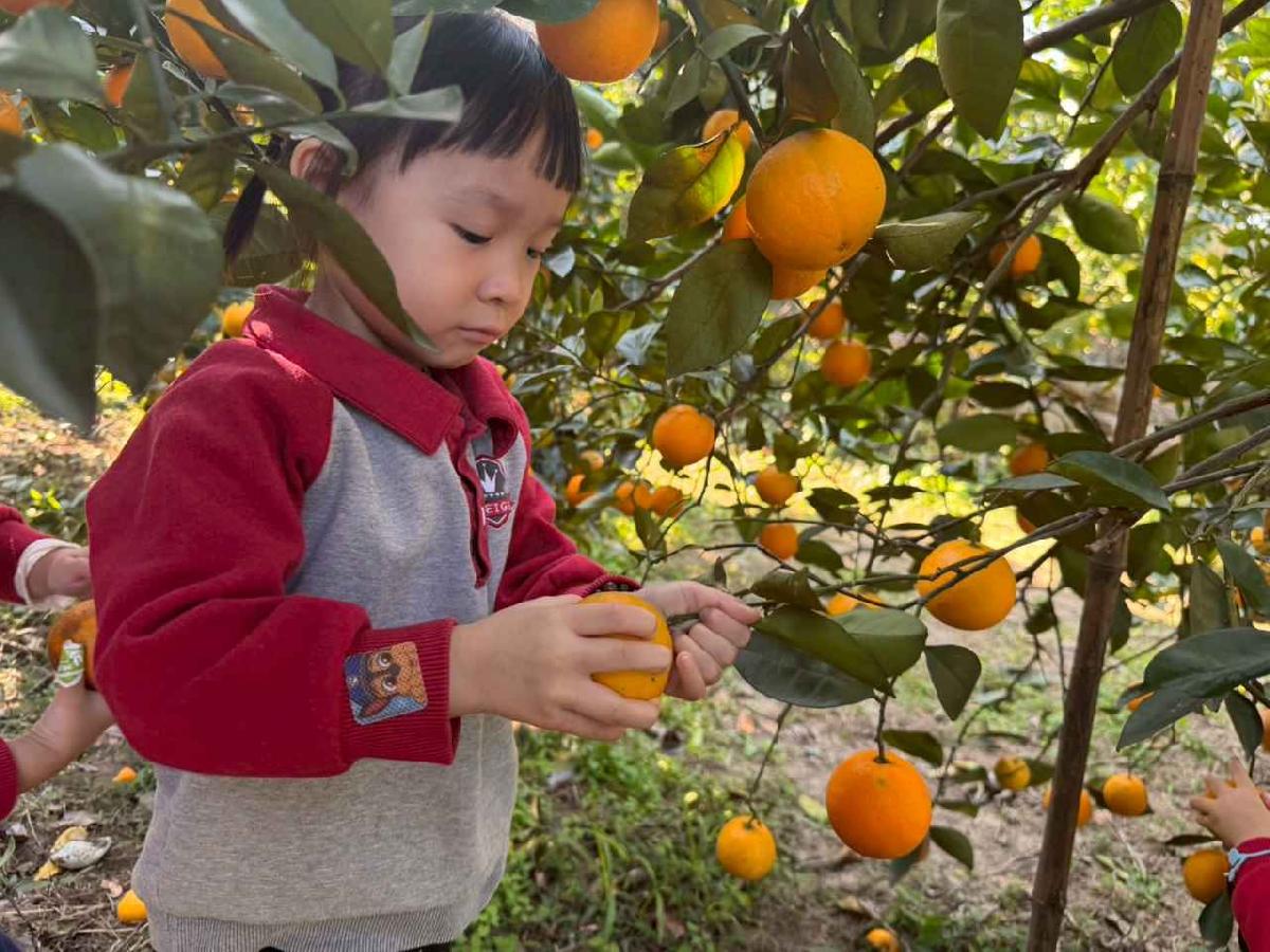 line_album_20260115柳丁大豐收01 (5)