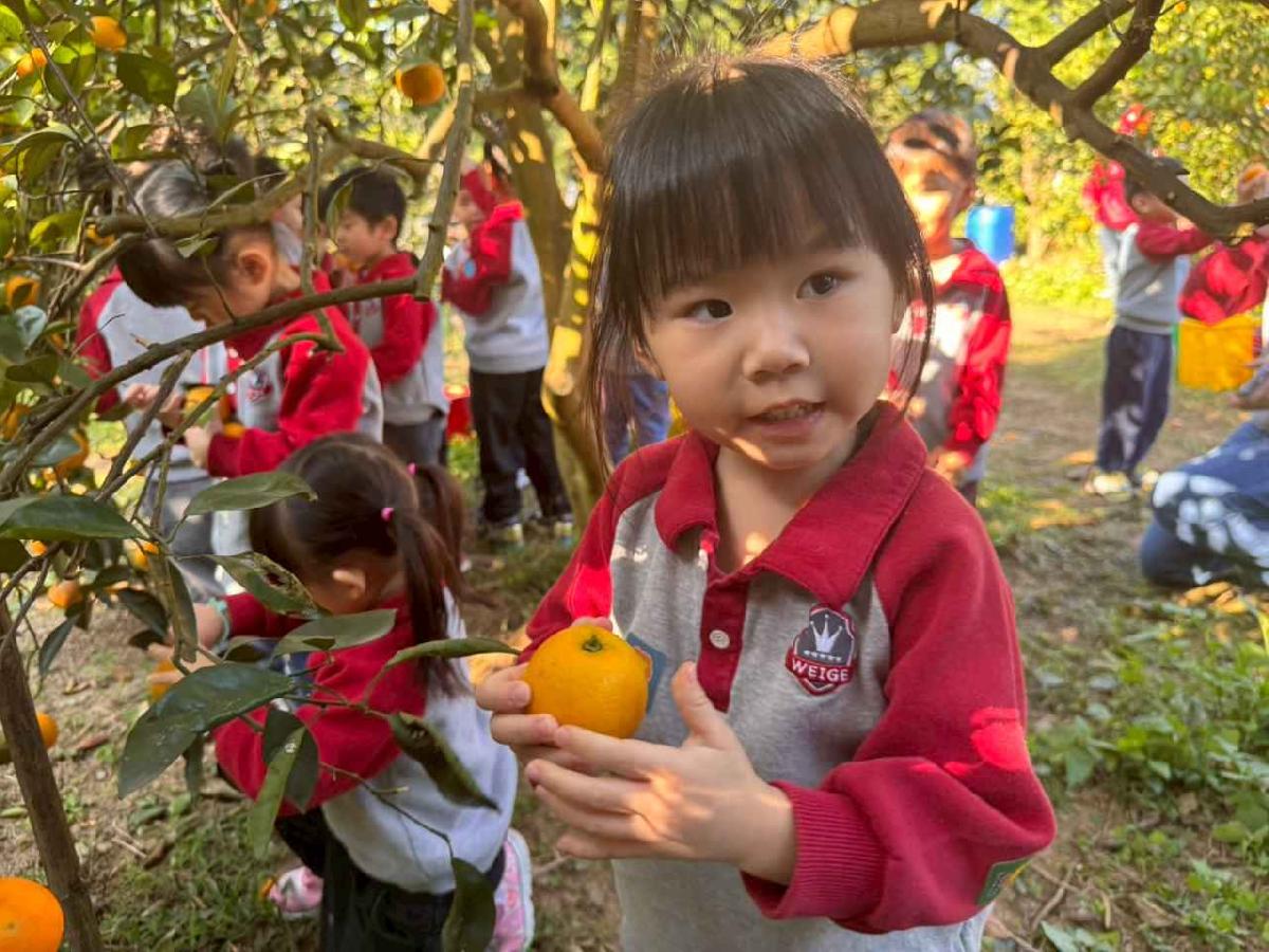 line_album_20260115柳丁大豐收01 (6)