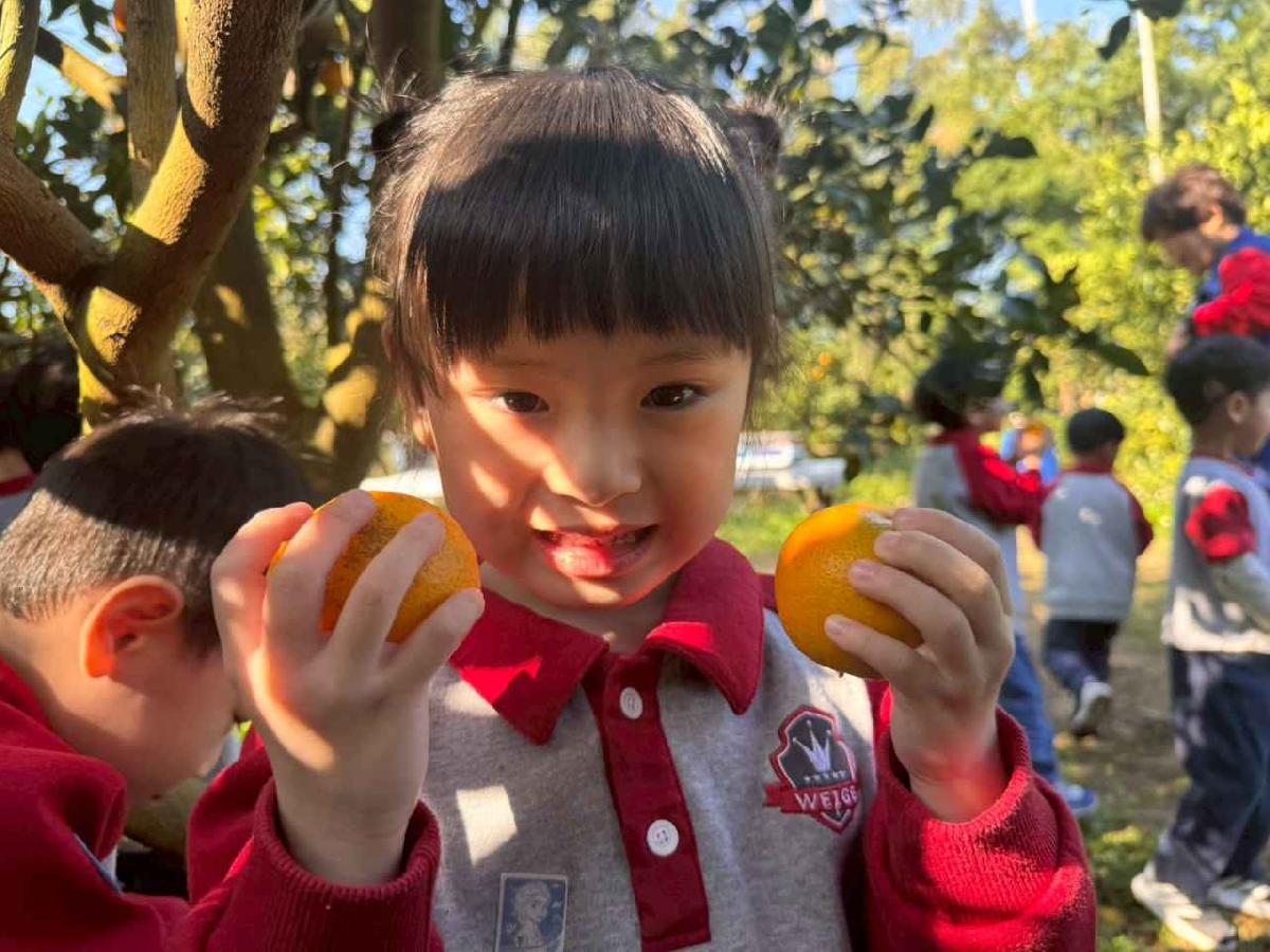 line_album_20260115柳丁大豐收01 (11)