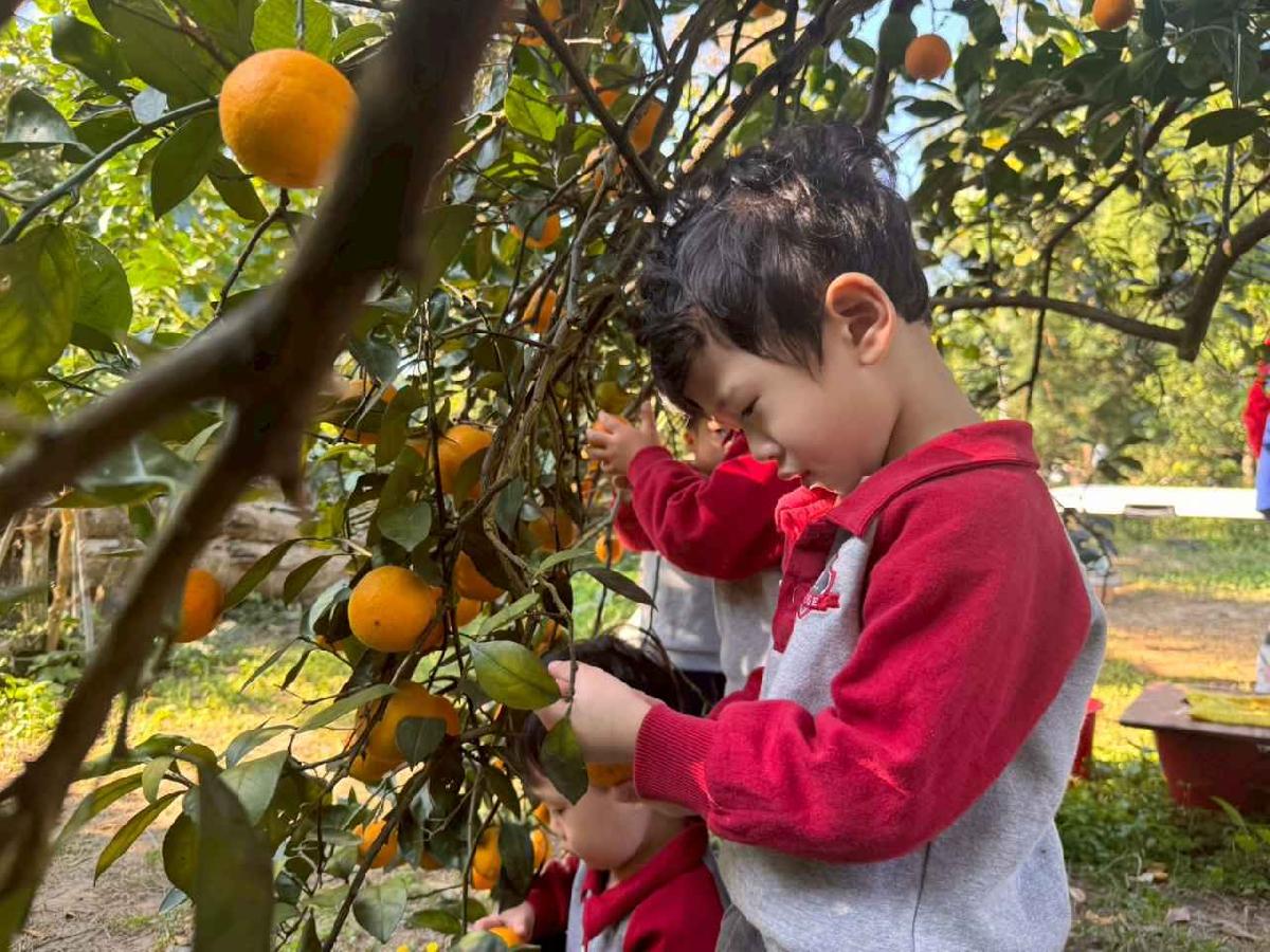 line_album_20260115柳丁大豐收01 (13)