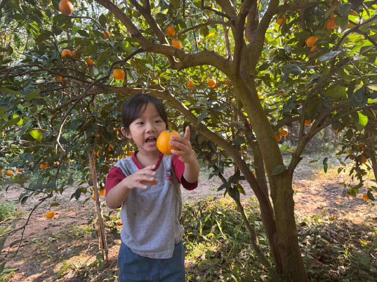 line_album_20260115柳丁大豐收01 (14)