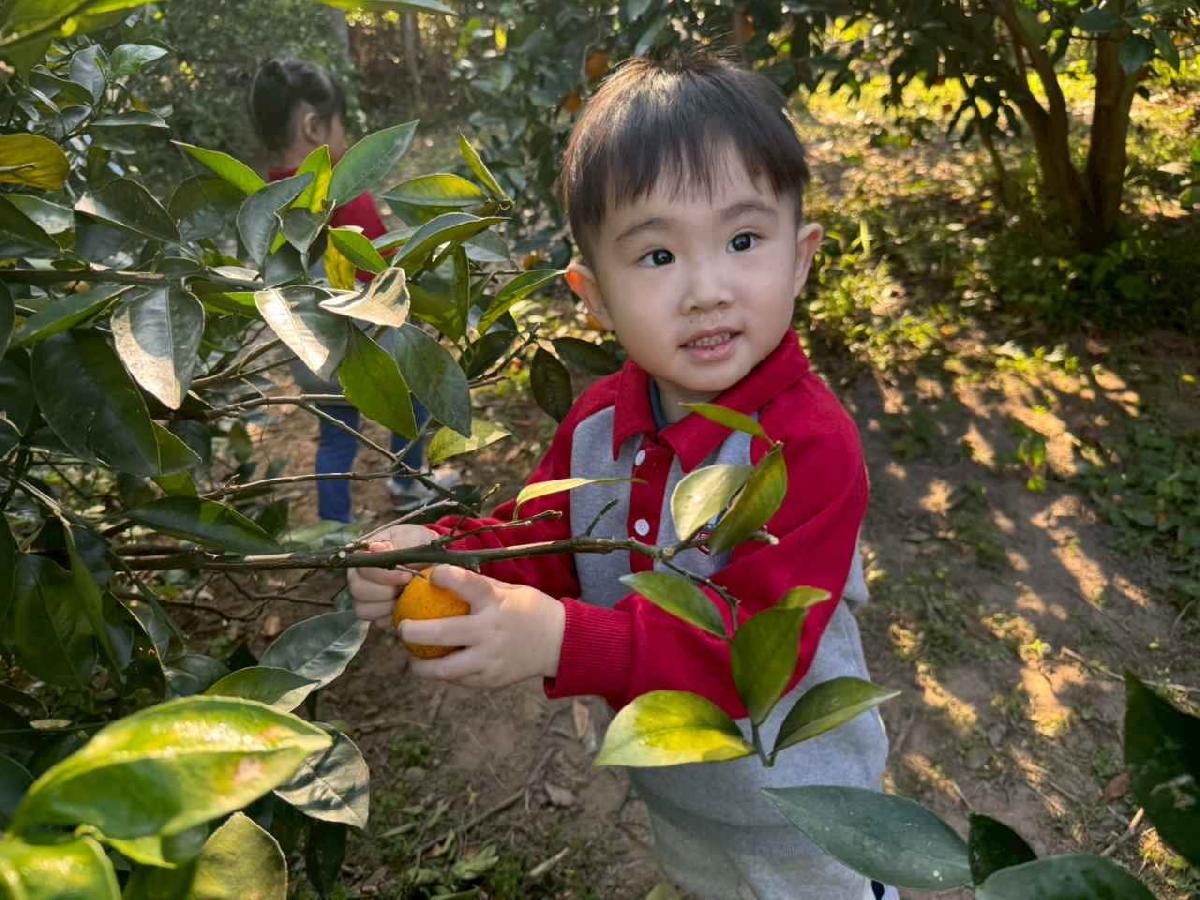 line_album_20260115柳丁大豐收01 (15)