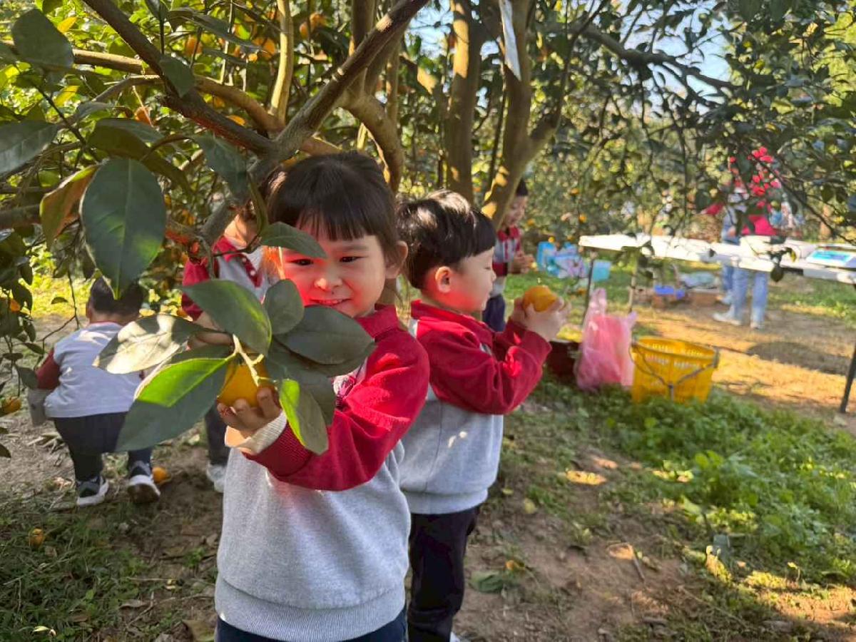 line_album_20260115柳丁大豐收01 (16)