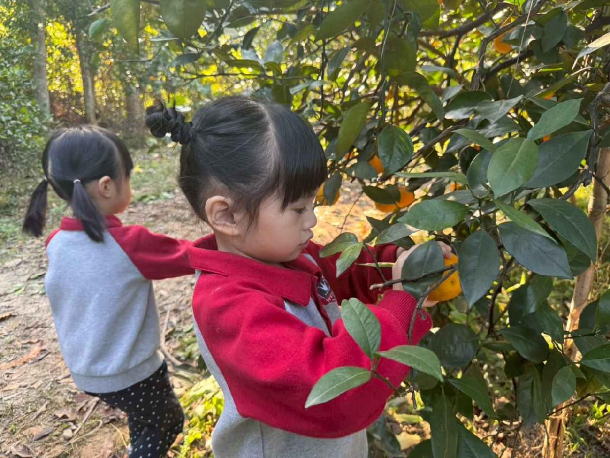 line_album_20260115柳丁大豐收01 (17)