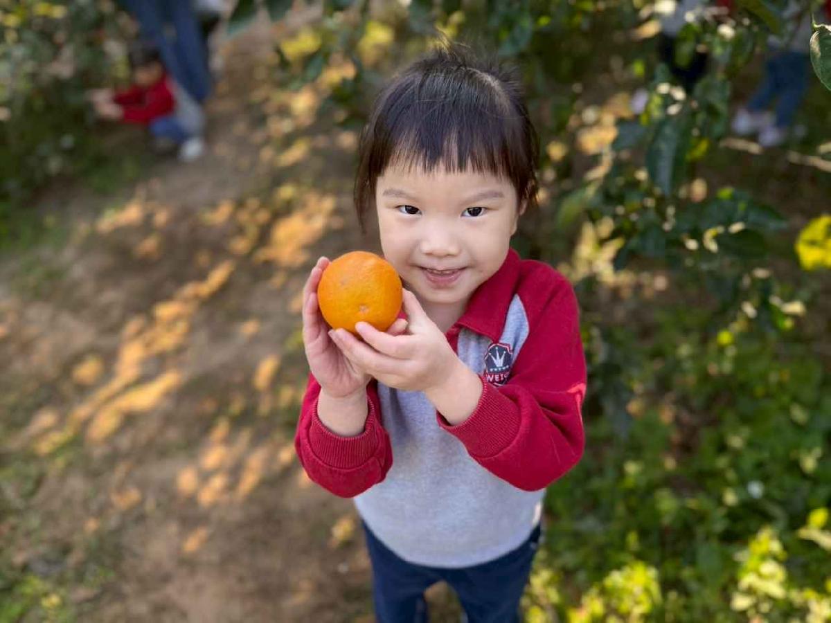 line_album_20260115柳丁大豐收01 (22)