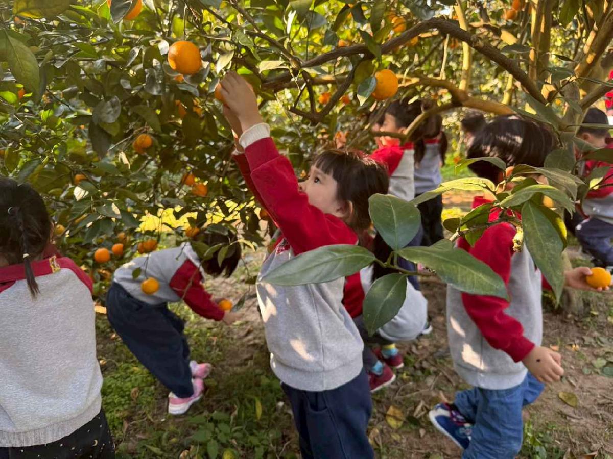 line_album_20260115柳丁大豐收01 (21)