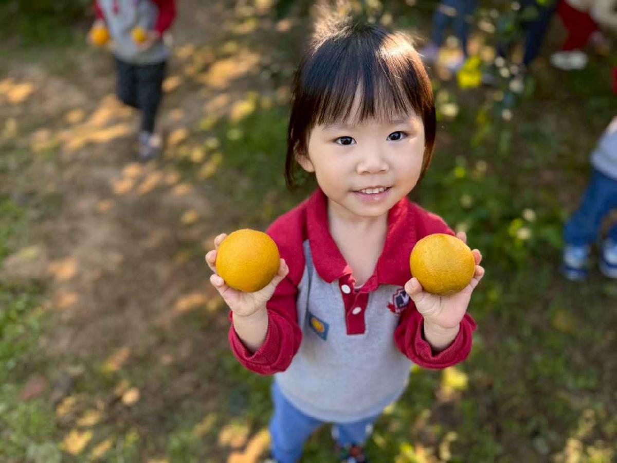 line_album_20260115柳丁大豐收01 (23)