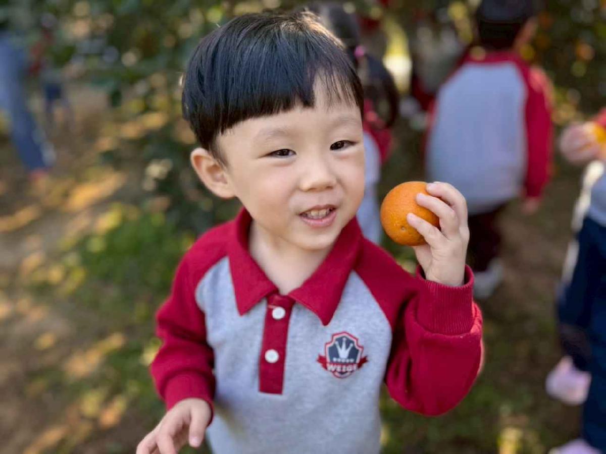 line_album_20260115柳丁大豐收01 (27)