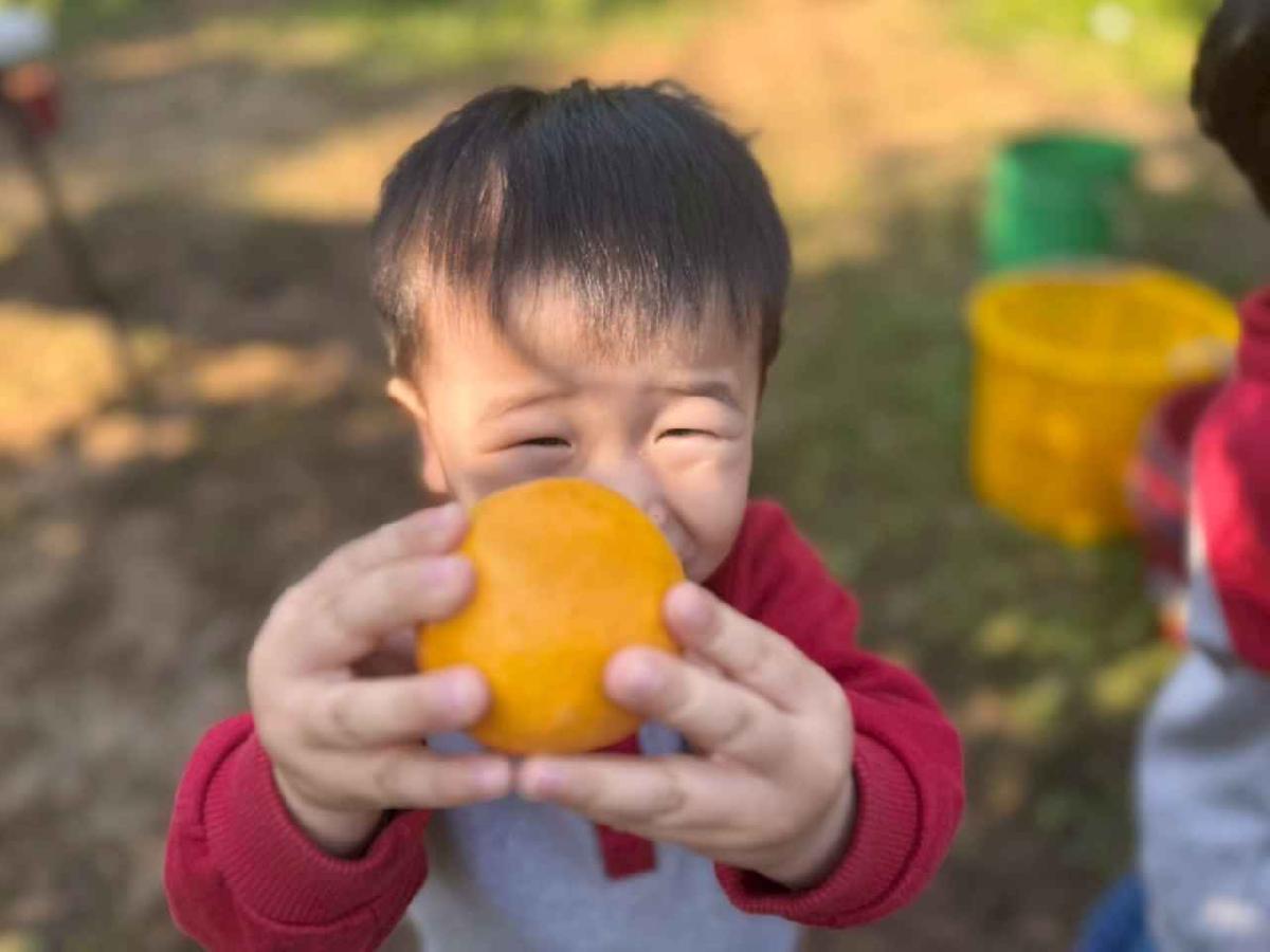 line_album_20260115柳丁大豐收01 (28)