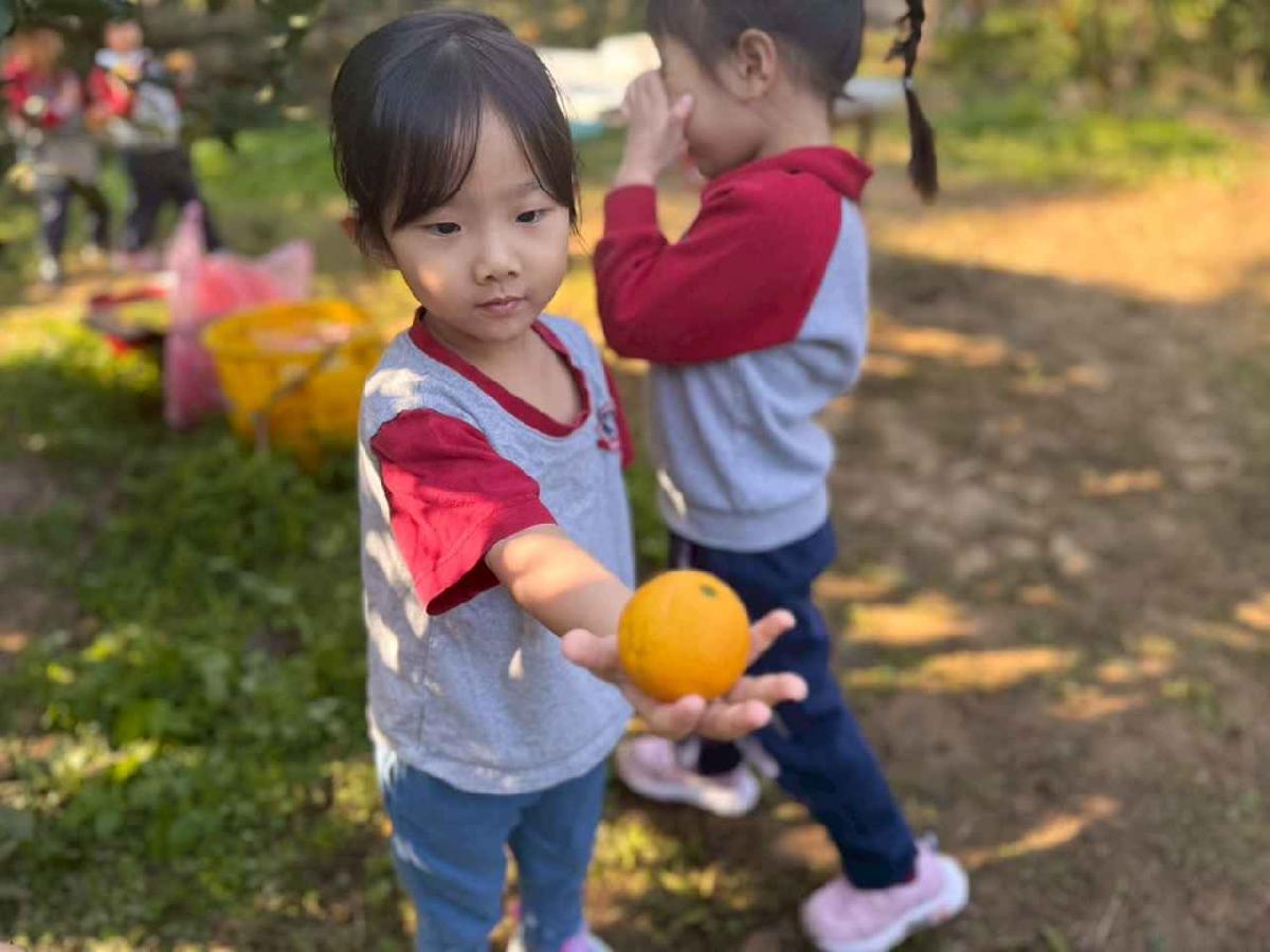 line_album_20260115柳丁大豐收01 (30)