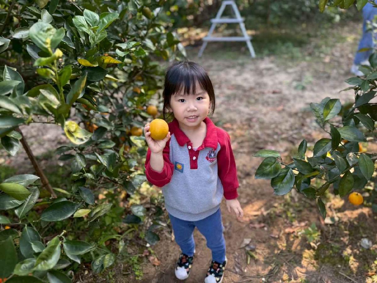 line_album_20260115柳丁大豐收01 (32)