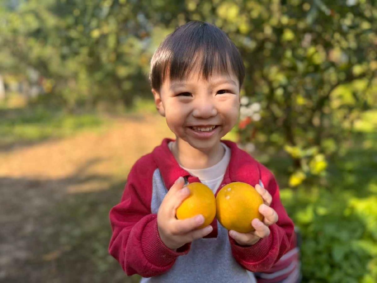 line_album_20260115柳丁大豐收01 (35)