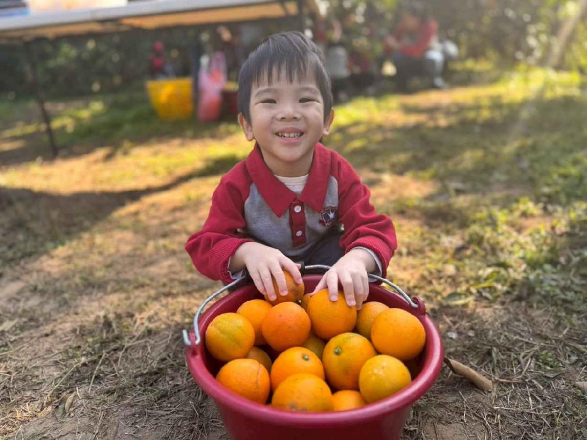 line_album_20260115柳丁大豐收01 (36)