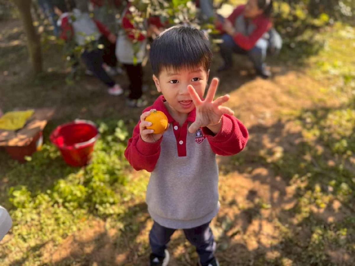 line_album_20260115柳丁大豐收01 (37)